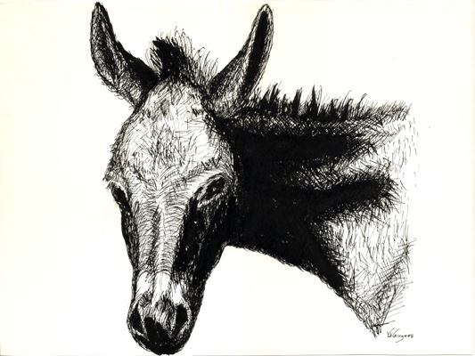 DonkeyLeft