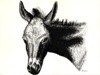 DonkeyLeft
