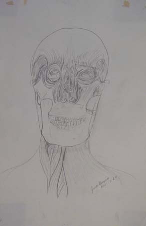 HPIM0886
